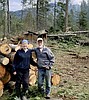 In one terrifying hour, wind destroys family’s forest