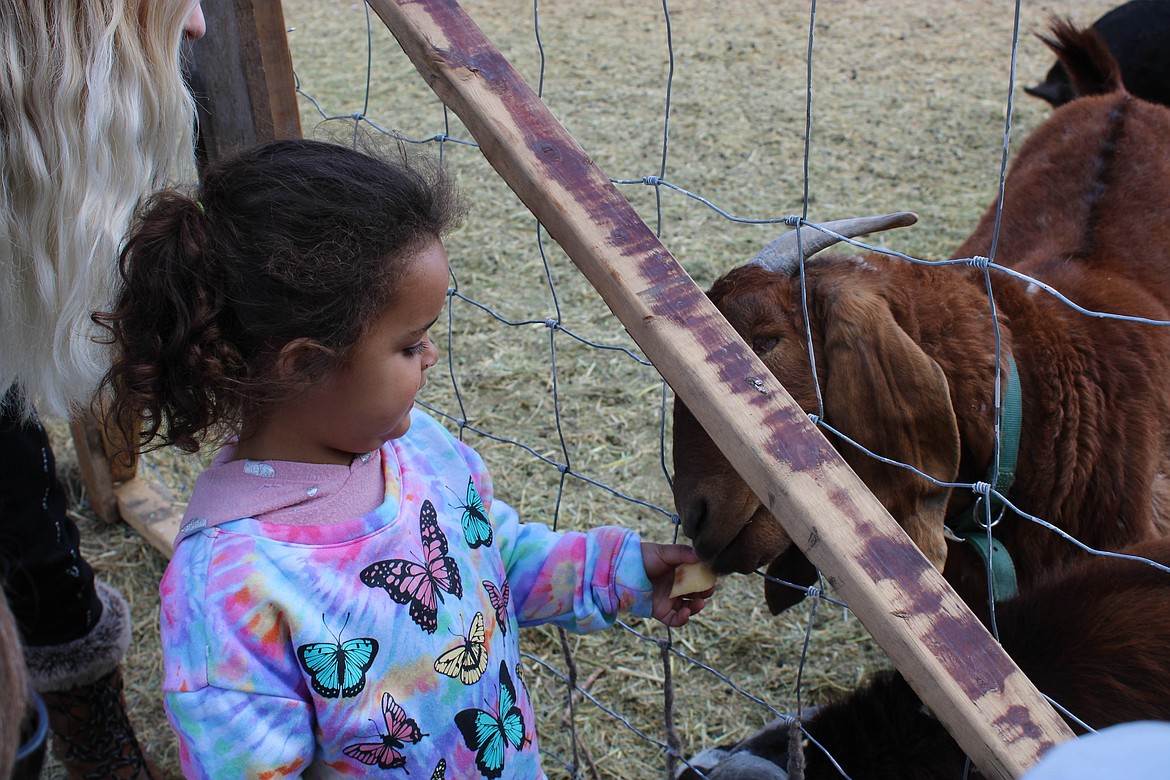 Moses Lake resident Melanie Fraser feeds sliced apples to a goat at the Otaku Farms Barter Faire on Sunday.