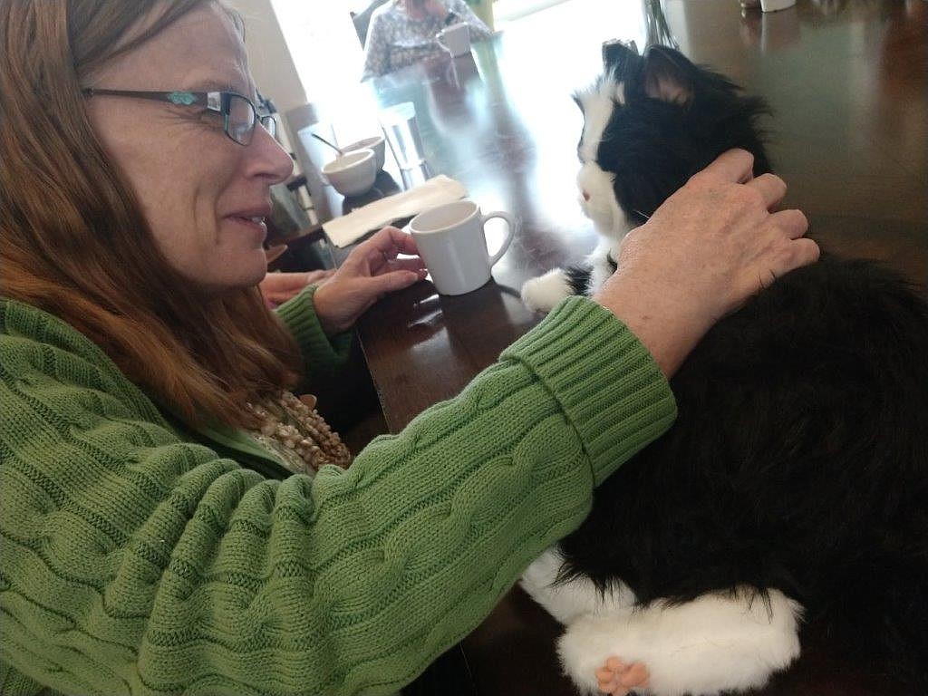 Bonnie Mayer pets a robotic cat. The mechanical felines were given by the Area Agency on Aging to North Idaho care facility residents during the pandemic.