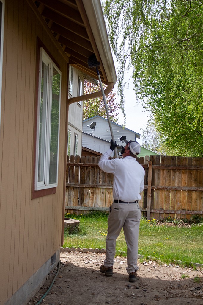 Allan Kooy of Pointe Pest Control clears away spiderwebs and wasps nests from under the cusp of the roof on a home in Moses Lake on Wednesday afternoon.