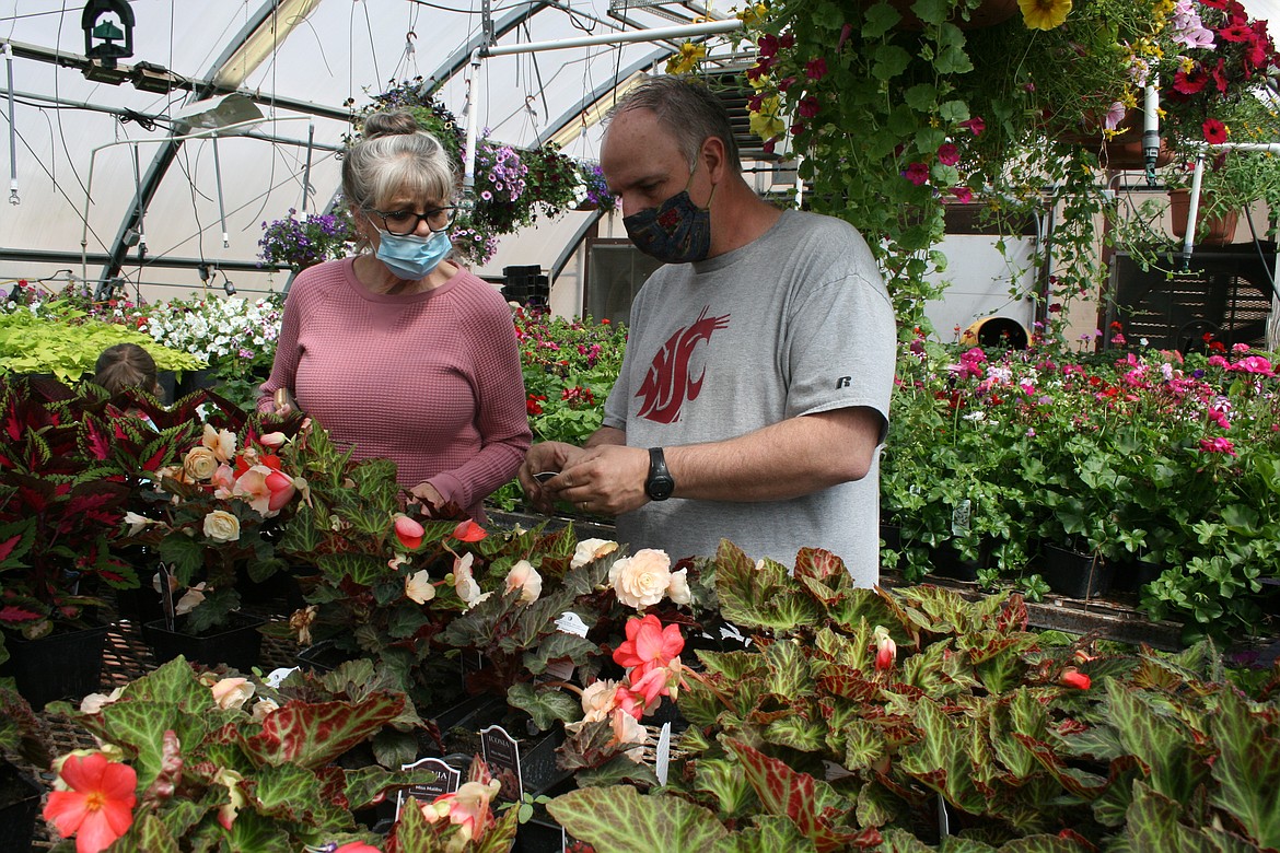 Vicki Melcher (left) gets some pointers on suitable plants from Moses Lake High School FFA co-adviser Tony Kern on Wednesday afternoon. Melcher was doing some early shopping at the annual MLHS FFA plant sale.