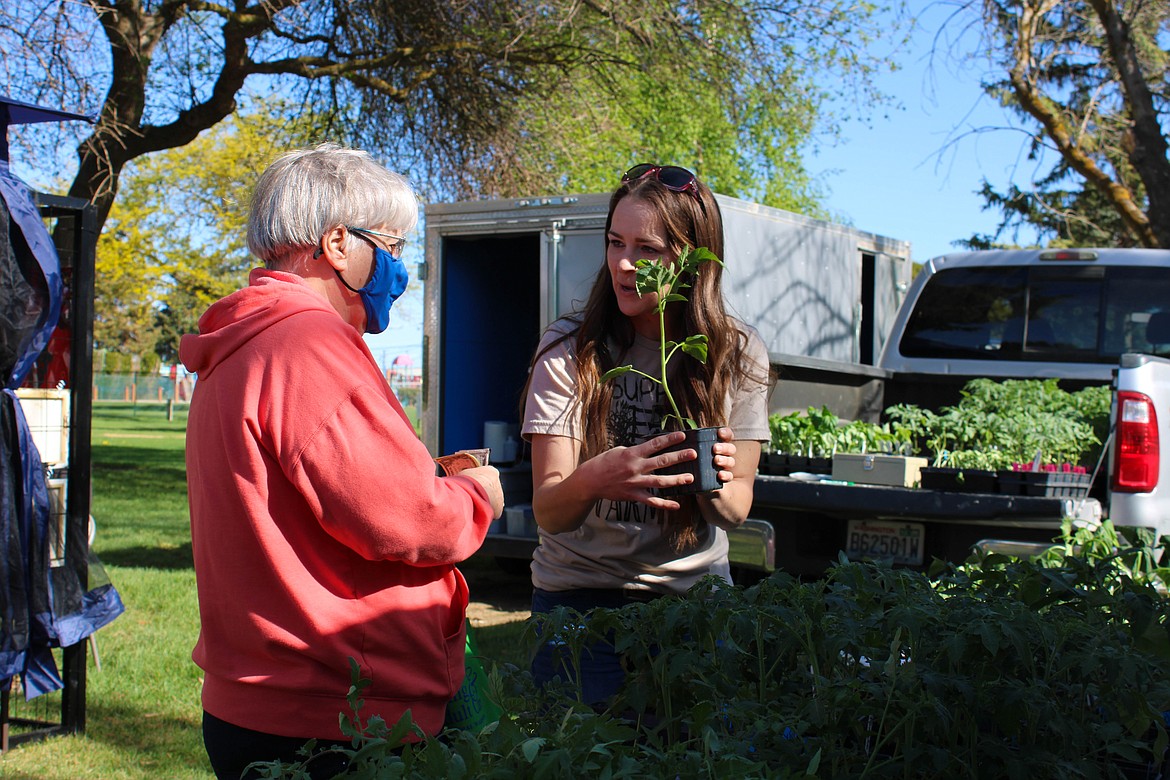 Sarah Fitch of Fitch Family Farms hands over a plant to a customer at the Moses Lake Farmers Market on Saturday.