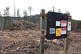 Slash piles aren’t pleasing, but thinning project going as designed