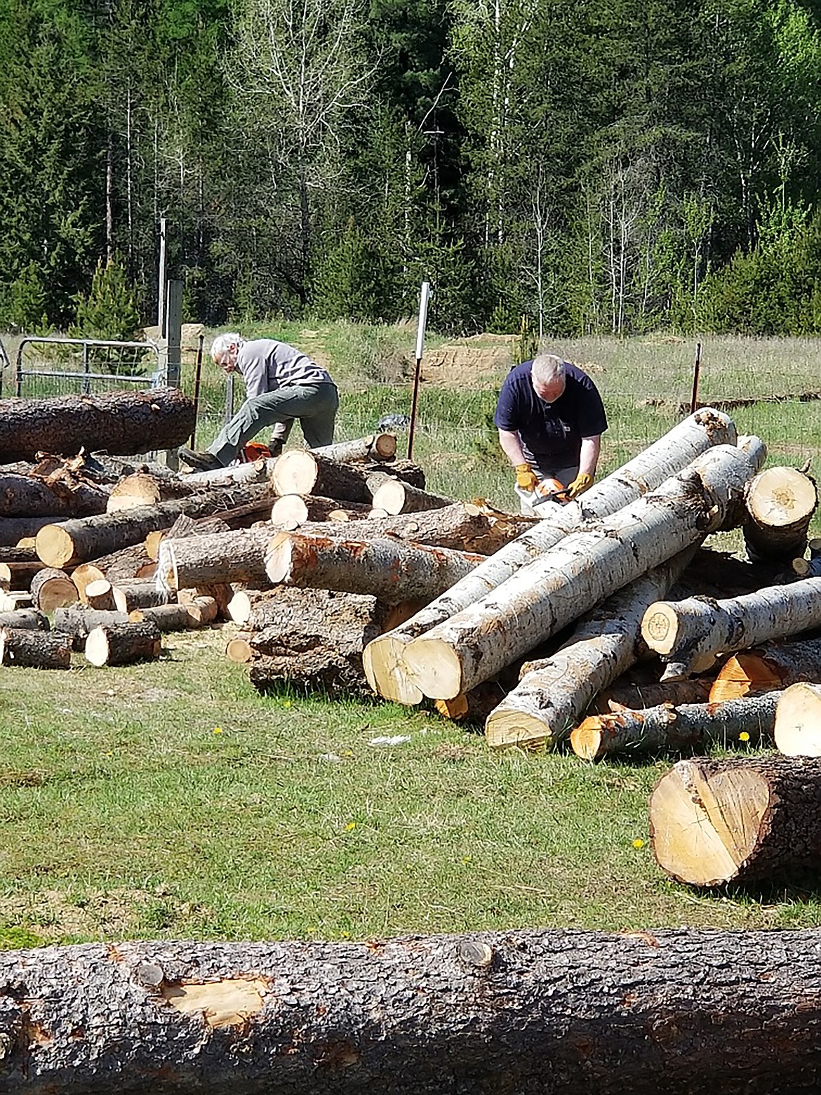 Firewood Rescue volunteers are hard at work getting wood ready for when they hear about someone in need of wood to keep their home warm.