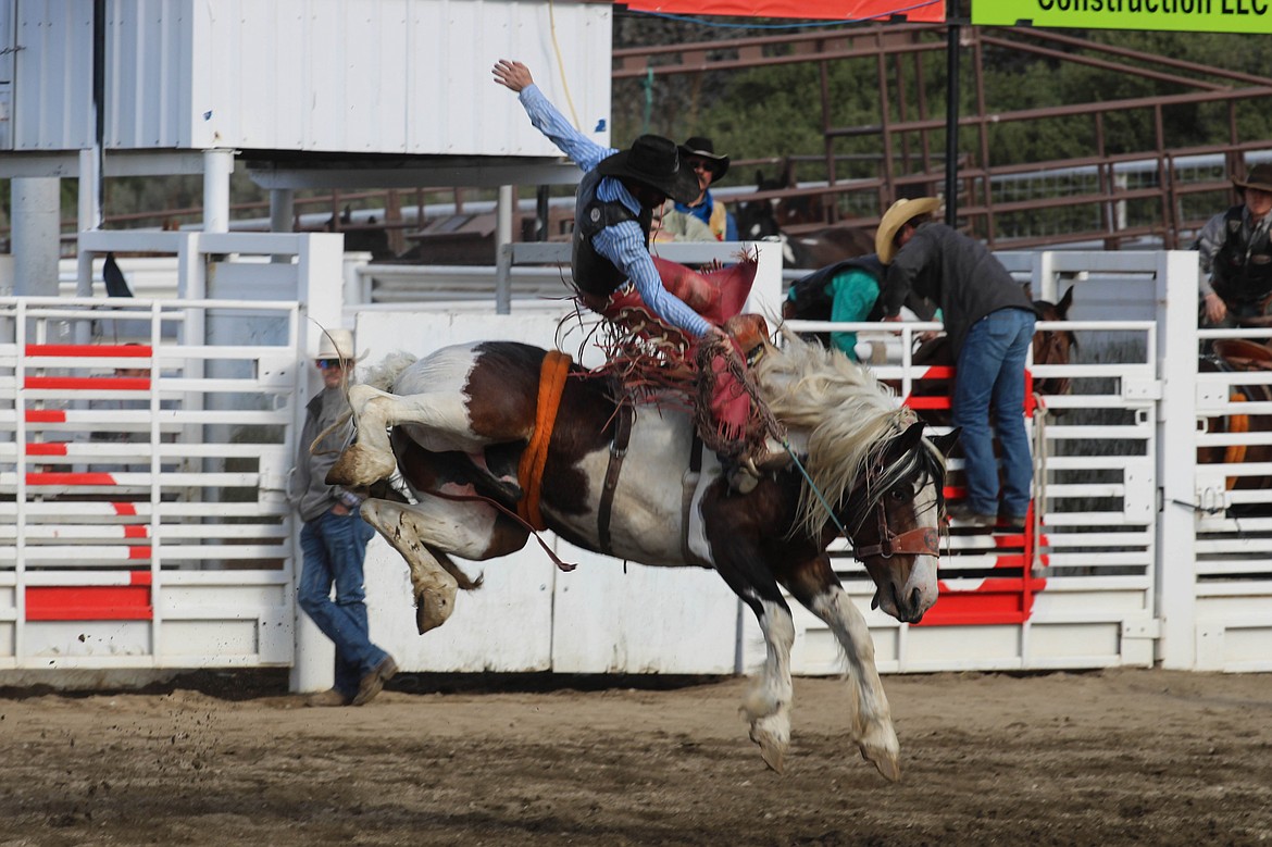 Blake Knowles of Heppner, Oregon riding a bronc at the 64th Colorama Rodeo in Grand Coulee Saturday.