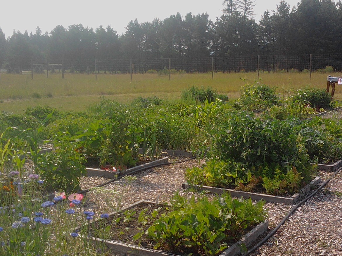 The Bigfork/Ferndale Community Garden is pictured in full bloom.
Courtesy Michelle Patterson