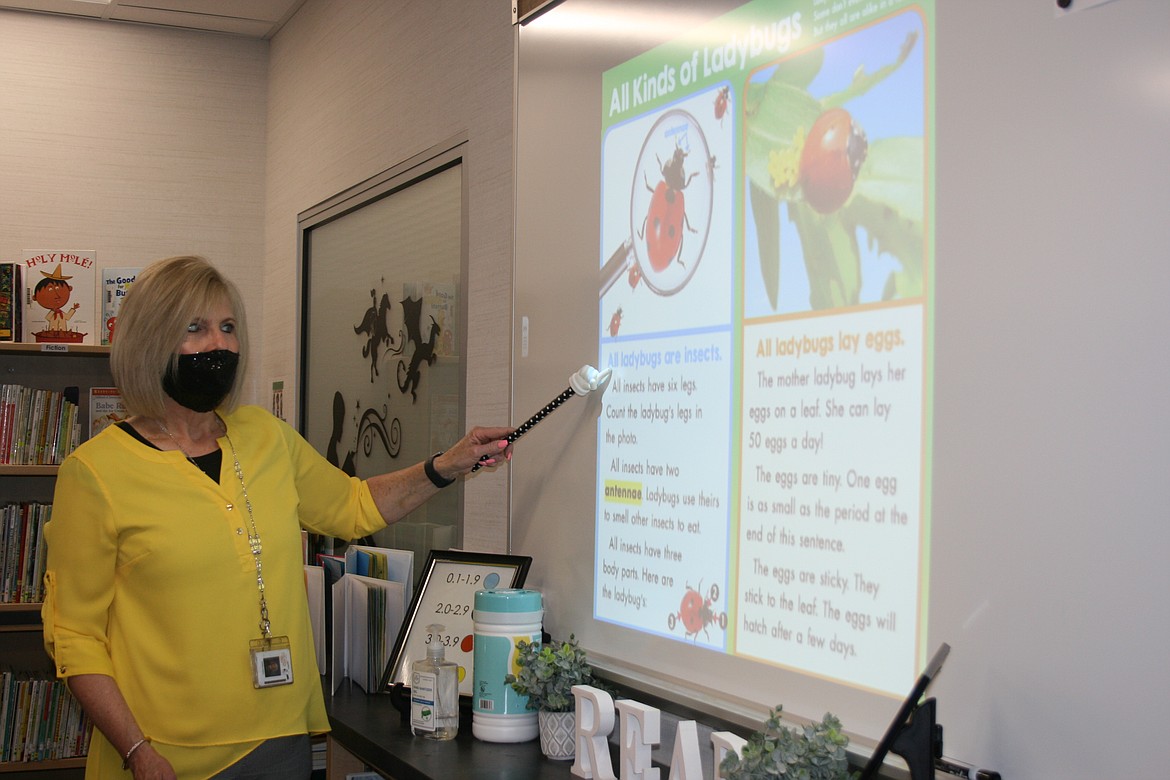 Debra Rees points out information to her students. Rees is the library media specialist at Red Rock Elementary School.