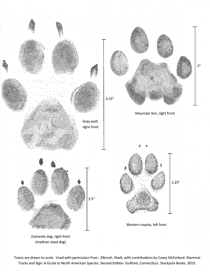 Common Washington track identification.