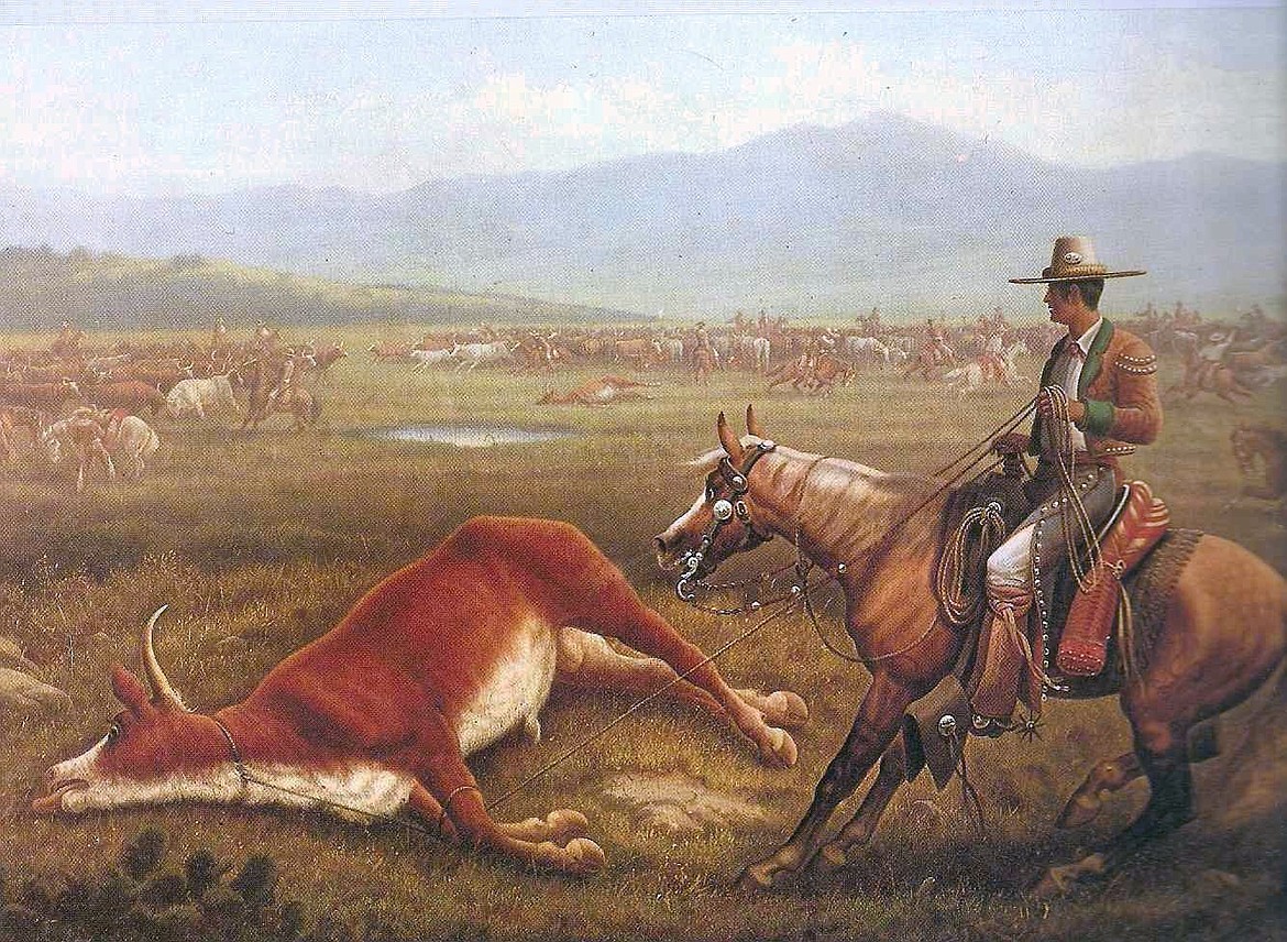 Early Mexican vaquero wearing clothing style and spurs originating in Spain roping a steer.