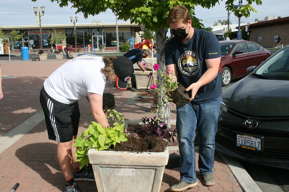 Jackson Giuntoli (left) and Sam Otey add flowers and vines to a planter in downtown Moses Lake. They were part of the crew from the Moses Lake FFA chapter, MLHS students and teachers who volunteered to plant the downtown flower boxes Wednesday.