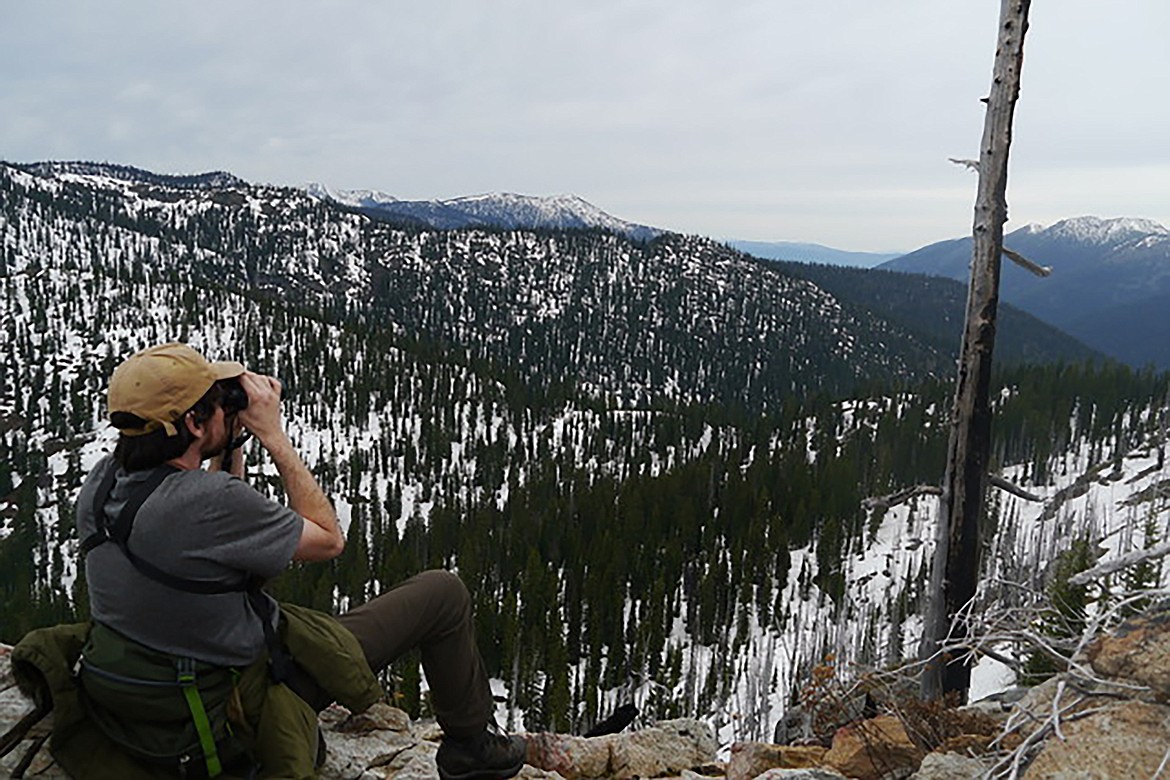 Jack Kredell checks out former caribou habitat in the southern Selkirk Mountains.