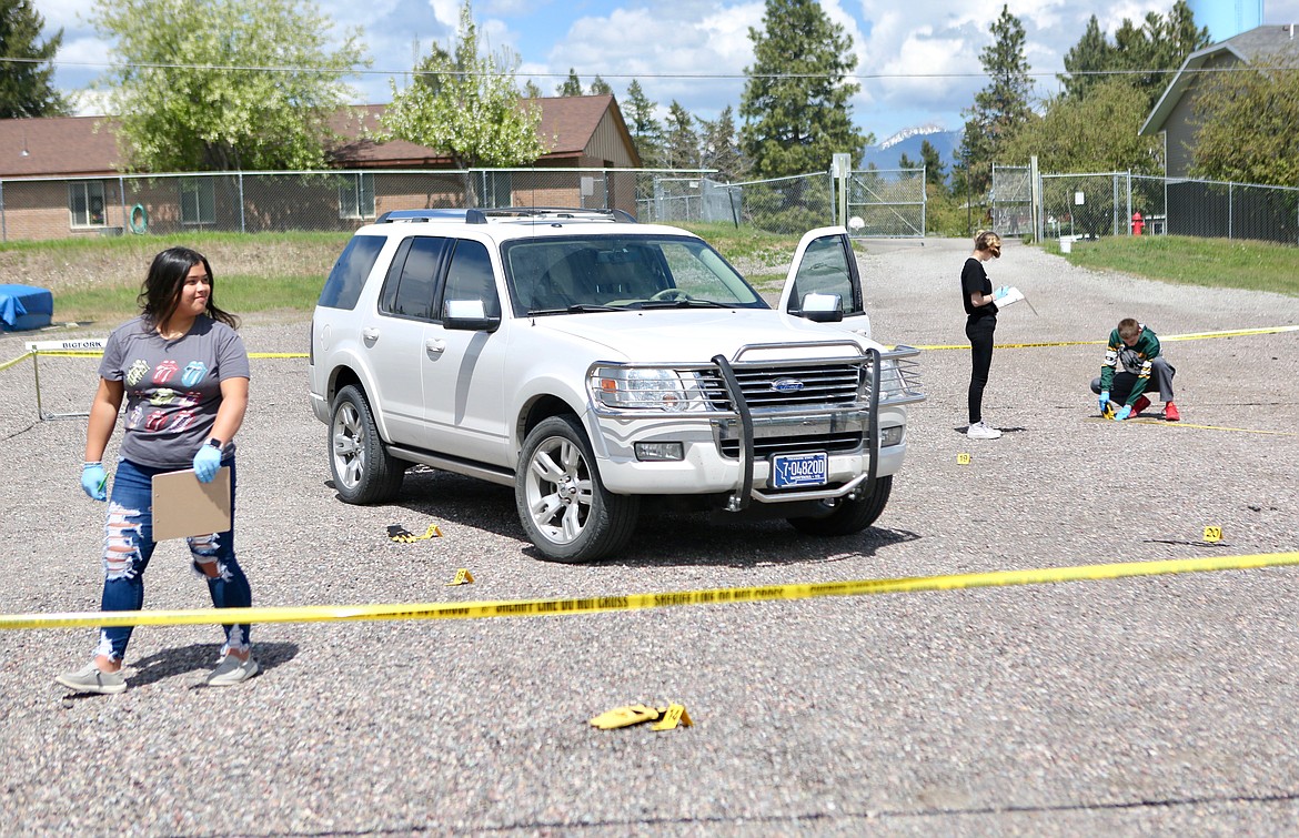 Students collect data at the scene of a mock homicide at Bigfork High School as part of their forensics class. 
Mackenzie Reiss/Bigfork Eagle