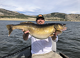 New Montana state record walleye caught in Holter Lake