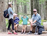 Glacier seeks input on reservation system, visitor experience