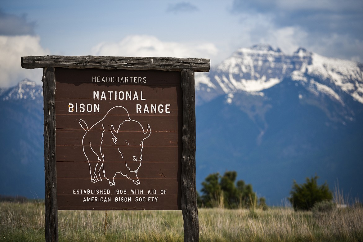 The Bison Range in Moiese on Tuesday, May 18. (Casey Kreider/Daily Inter Lake)
