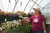 Hanging baskets: A sure sign of spring, summer