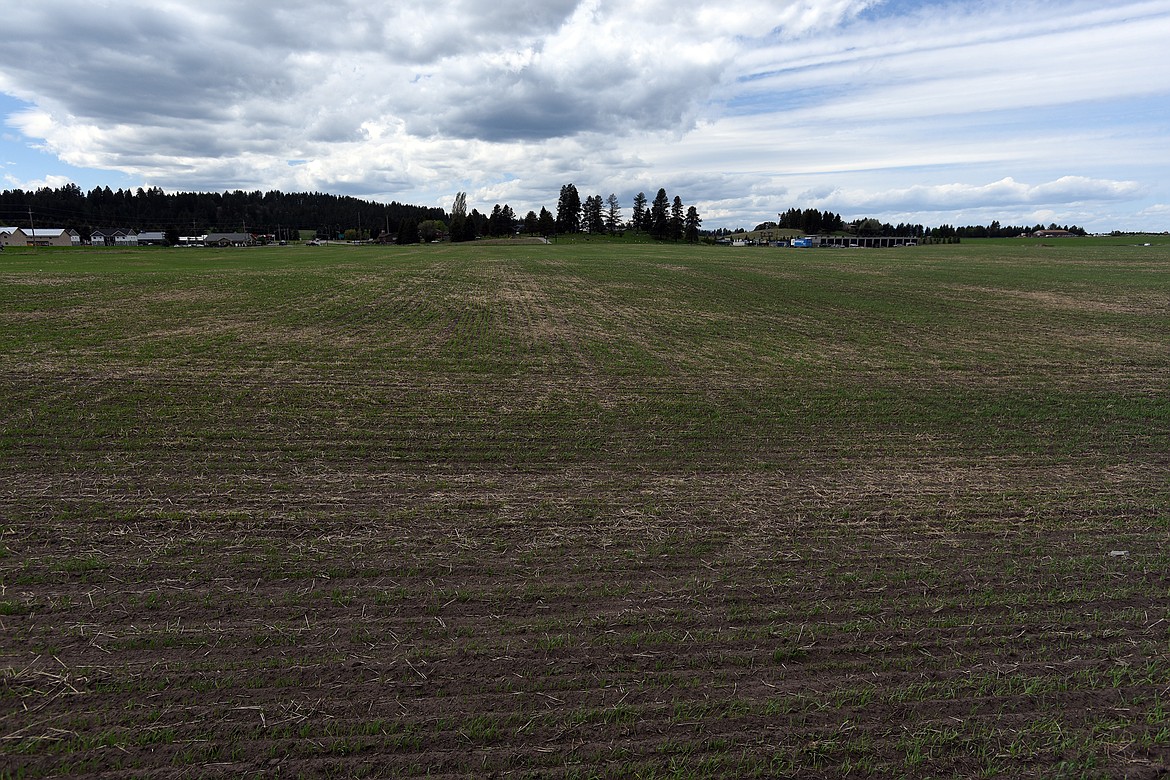 This land on Montana 83 in Bigfork was a proposed site for a new baseball field. (Jeremy Weber/Bigfork Eagle)