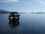 Fishing forecast for lake trout in Priest Lake
