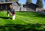 Green lawn; happy lawn: Keep your yard looking fresh all season with these tips