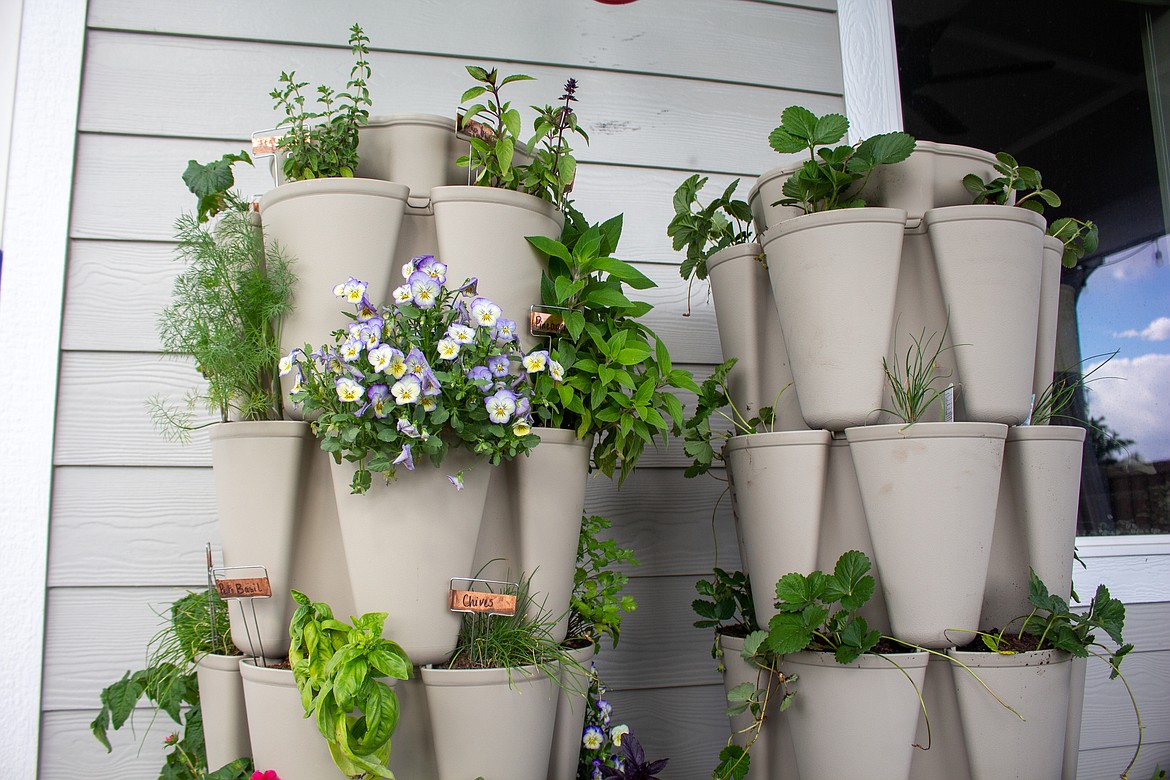 The numerous containers on the vertical planters allow Ekko Nash to grow a variety of plants, vegetables and flowers in her backyard in small space.