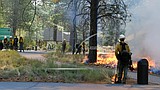 'Nothing looks good' preparing for summer wildfire season