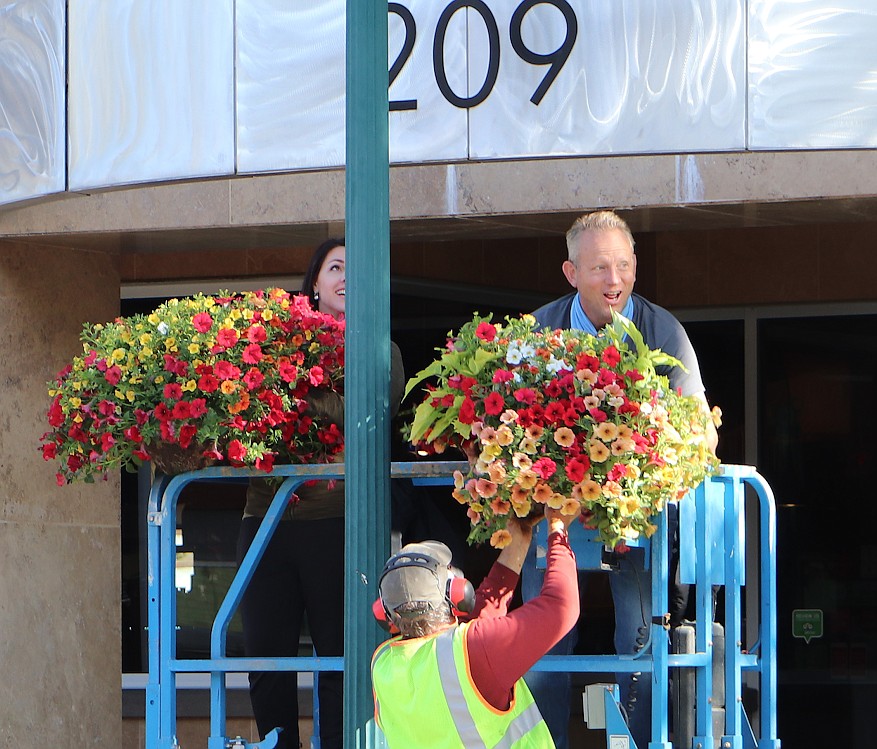 Photo by Teree Taylor
Nicole Kahler, CDA 2030 executive director, and John Eloe, director of facilities at The Coeur d’Alene Resort, hang flowers in downtown Coeur d'Alene Thursday morning.