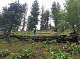 Mineral Ridge trails reopen
