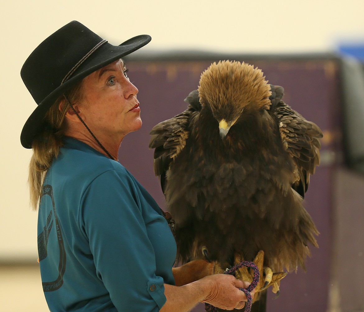 Dakota, a 7-year-old golden eagle, rouses his feathers while being held by Birds of Prey Northwest's Janie Veltkamp during a visit to Northwest Expedition Academy on Friday.