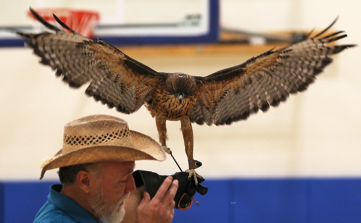 Rusty the red-tailed hawk spreads his wings for all to see Friday during a Birds of Prey Northwest presentation at Northwest Expedition Academy. Holding him is Don Veltkamp, chairman of the Birds of Prey board.