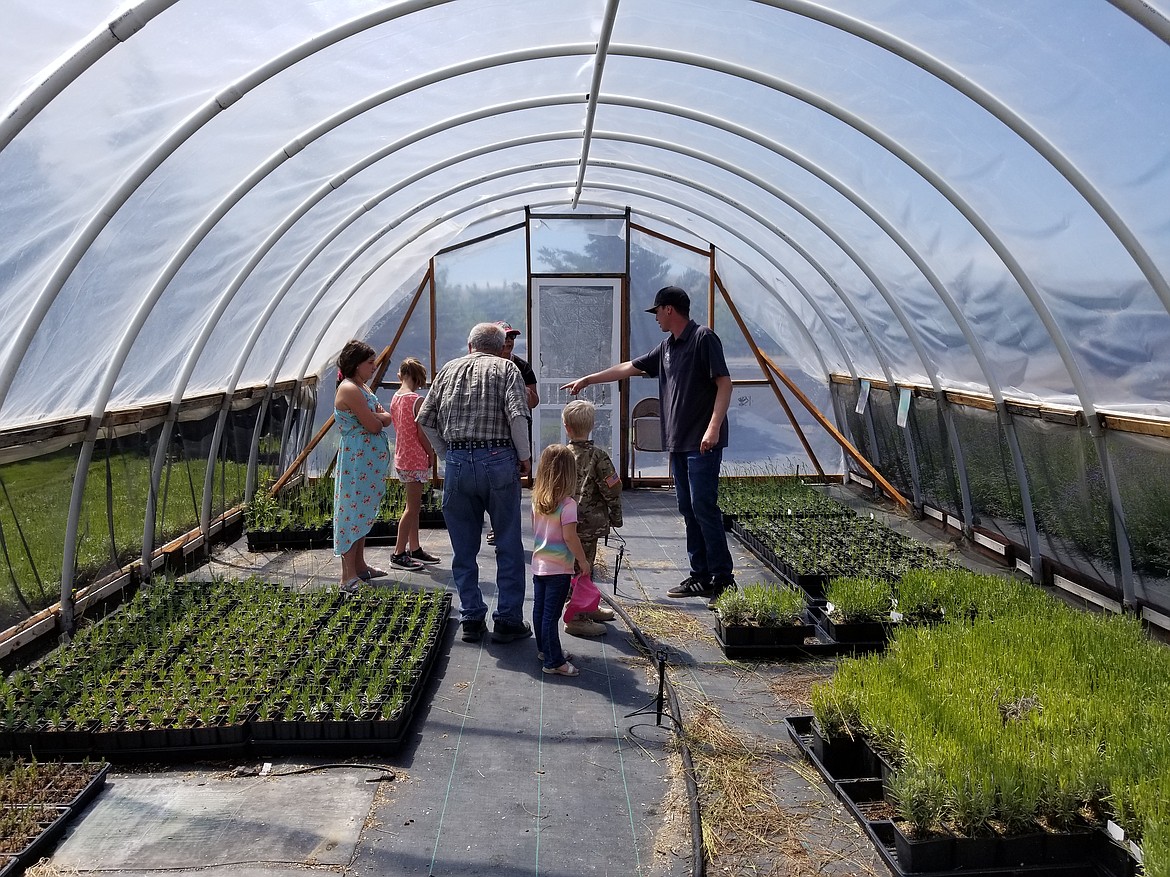 Matt Putnam (far right), of Trinity Gardens Lavender Farm near George,  points out varieties of lavender plants Saturday to visitors during the farm’s Flower Fest event. Trinity Gardens Lavender Farm will have two more Flower Fests, June 26 and July 10. The events feature live music, vendors and opportunities for visitors to walk through the farm.