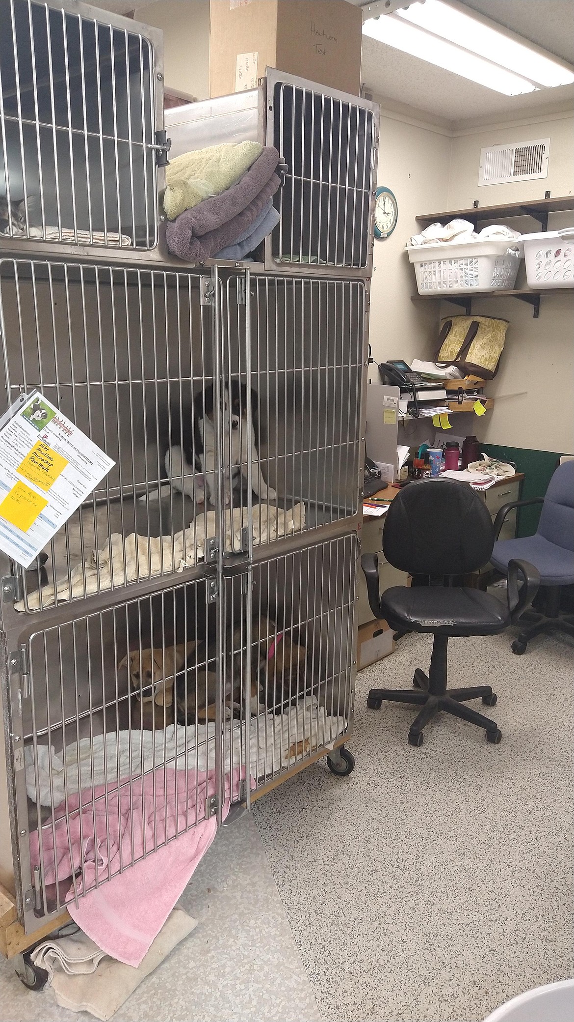 Kennels are stacked in the veterinary room of the old Kootenai Humane Society shelter. The capital campaign to raise $6.5 million is just $1.5 million away from reaching goal and allowing construction on the new site to begin.