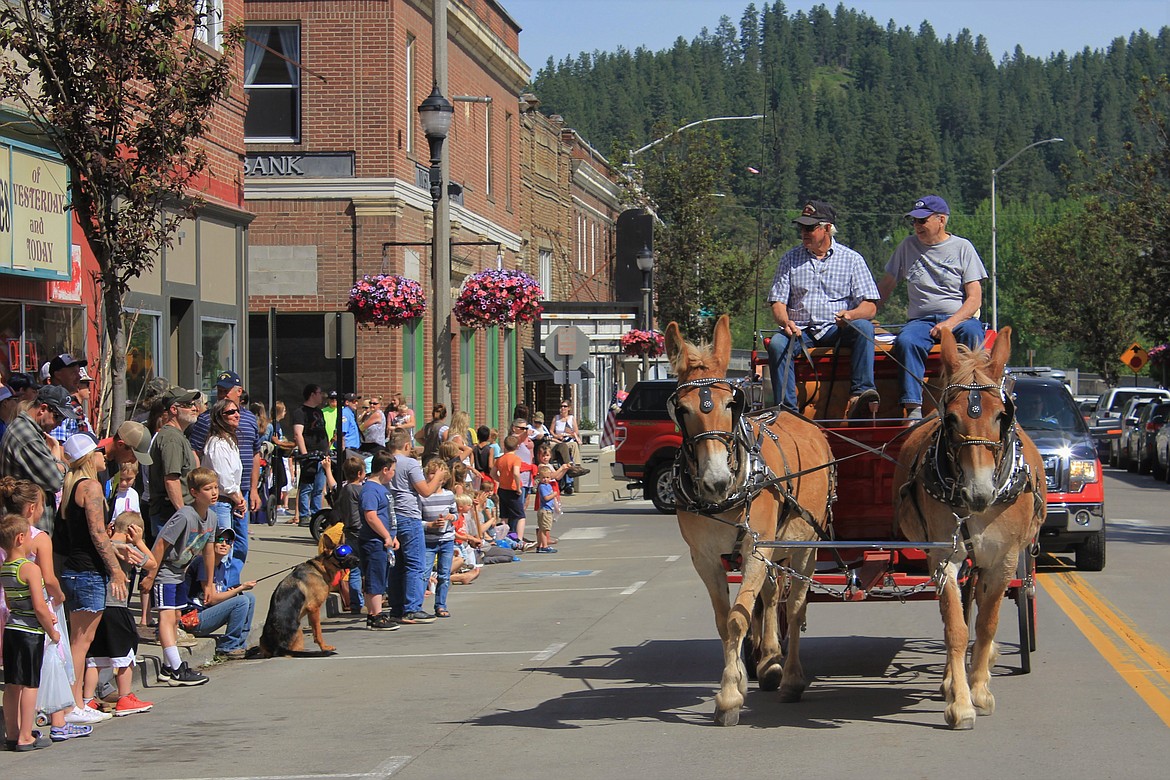 Horse and carriage, Memorial Day parade 2021 (Photo by Rose Shababy)