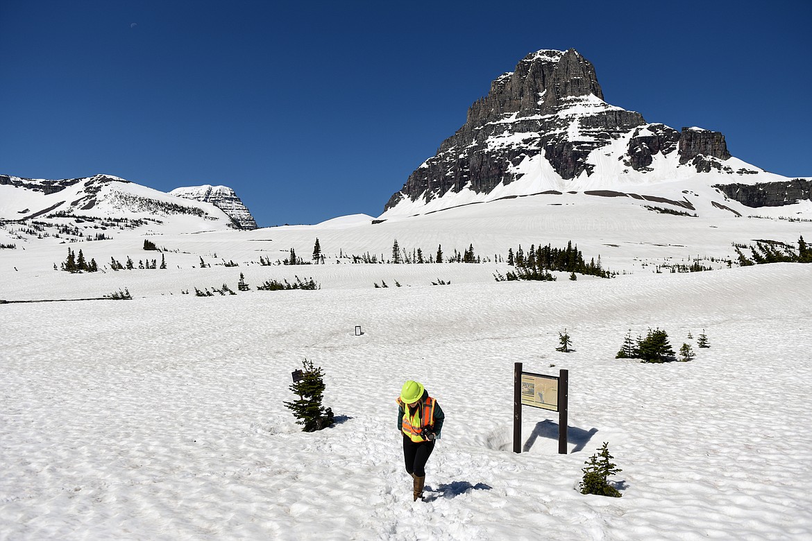 The Hidden Lake Trailhead at Logan Pass in Glacier National Park is seen on Wednesday, June 2, 2021. (Casey Kreider/Daily Inter Lake)