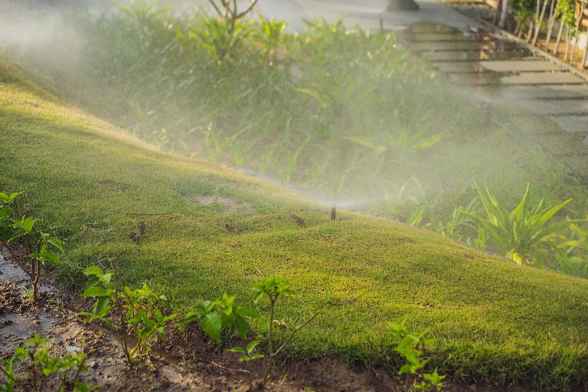 Make sure your irrigation practices are well suited to the kind of plants you’re cultivating.