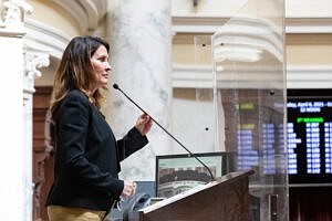 Lt. Gov. Janice McGeachin presides over the Senate at the Idaho Capitol on April 6.