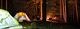 Visitors flocking to the forest