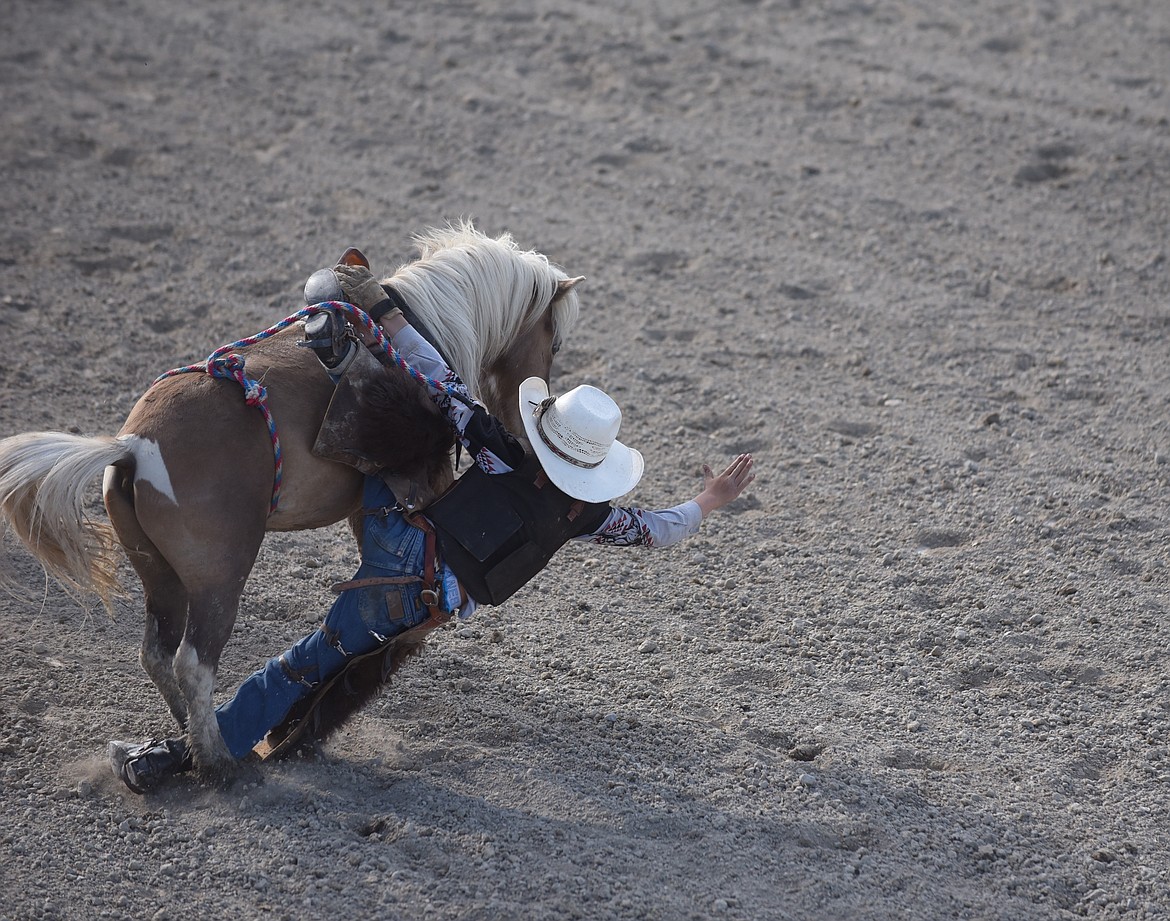 Young cowboy Wylee White endured a rough ride in the junior bareback event at last Saturday’s Hot Springs Rodeo. (Scott Shindledecker/Valley Press)