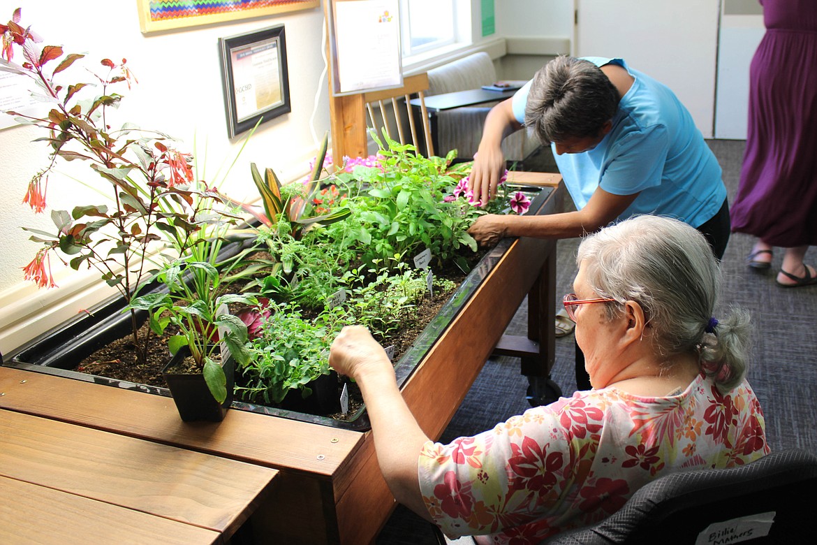 Lake Ridge Center residents Billie Mathers (front) and Tony Coates (behind) tend to the Eldergrow indoor garden on a recent Tuesday.