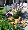MY GARDEN PATH — Sum, sum, summertime!