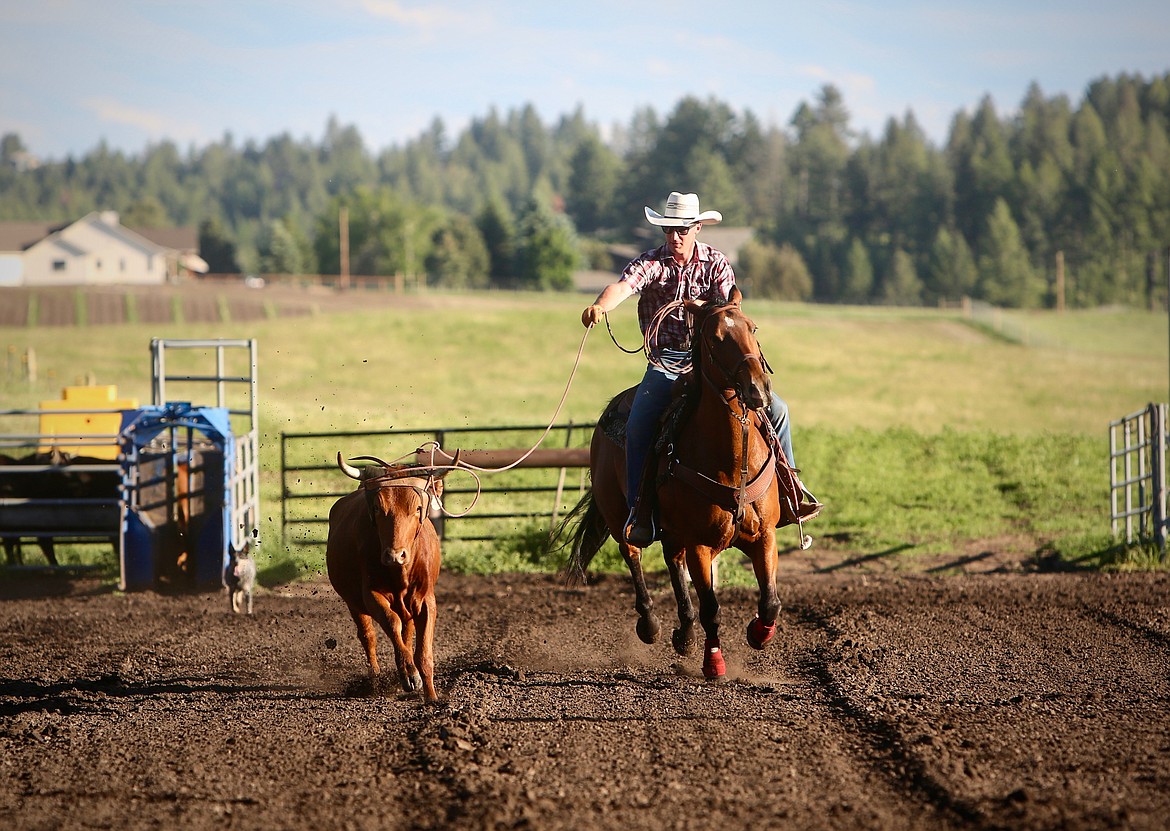 Steve Bodick, of Kalispell, charges down the arena at Ranger Springs to rope a steer Sunday evening, June 13. 
Mackenzie Reiss/Bigfork Eagle