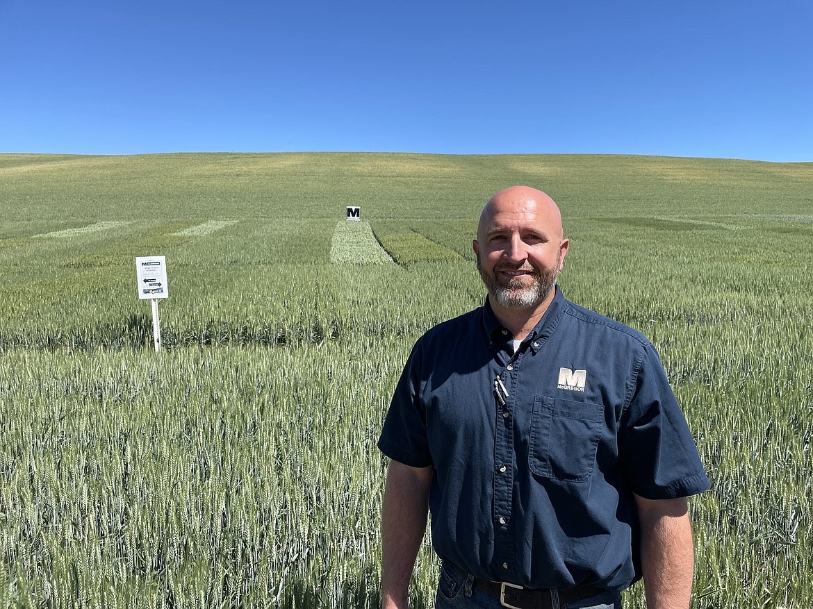 Ryan Tippett, the director of product innovation for McGregor Company, in front of a test plot on the company's 350-acre test farm near Colfax.