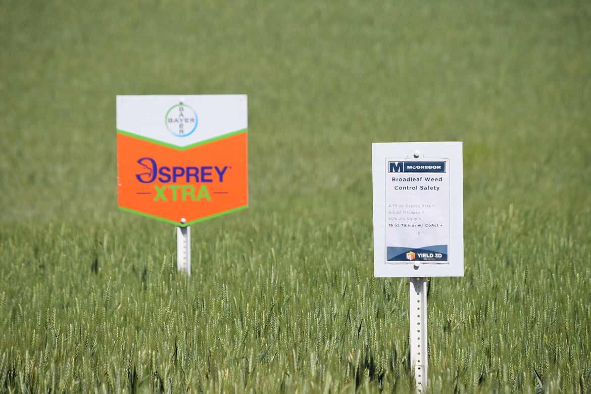 A pair of signs noting the test, and what is being tested, in a wheat field on the McGregory Company's 350-acre test farm near Colfax.