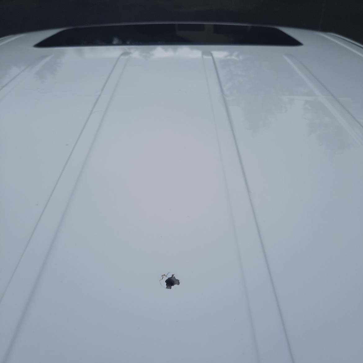 A Rathdrum family discovered a bullet hole in the roof of their truck Monday. Courtesy photo.