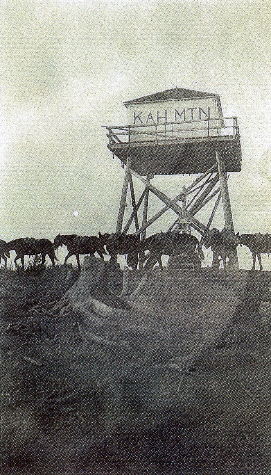 An undated photo shows a pack train bringing supplies to the Kah Mountain Lookout. (photo courtesy of the Northwest Montana Lookout Association)