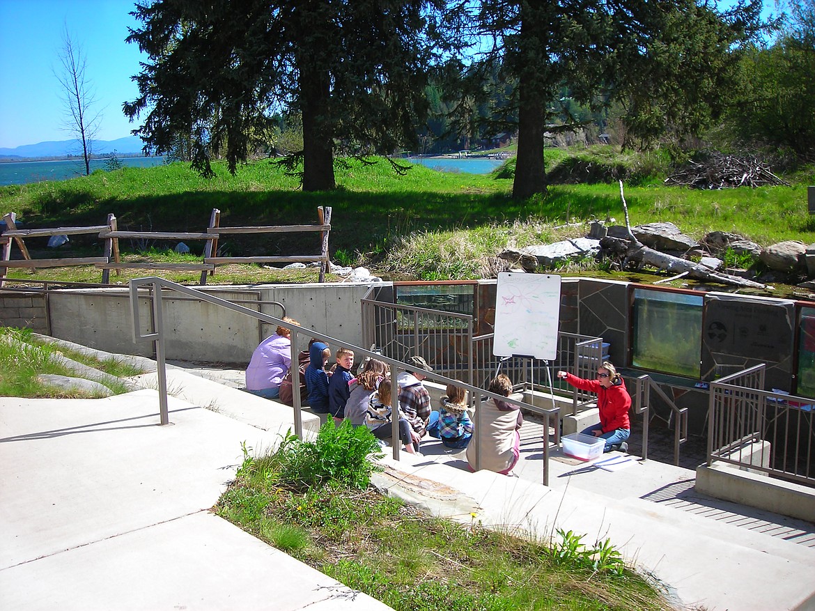 Local students are pictured at the amphitheater at the Waterlife Discovery Center. The fish viewing windows and Lake Pend Oreille can be seen in the background.