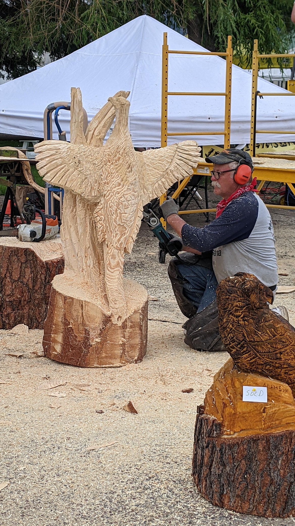 Ron Adamson breathes life into a pheasant sculpture. He took third place for his artistry at the Chainsaw Rendezvous. (Courtesy of Susan Lake)