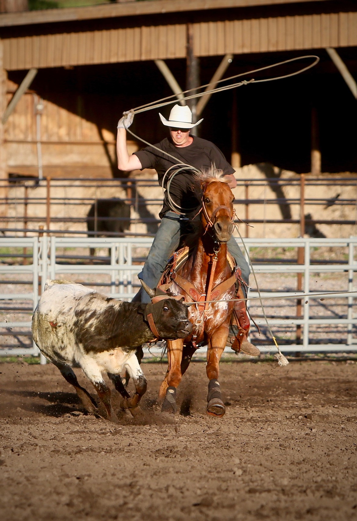 Laine Averill prepares to rope a steer's feet on Sunday, June 13, 2021. (Mackenzie Reiss/Bigfork Eagle)