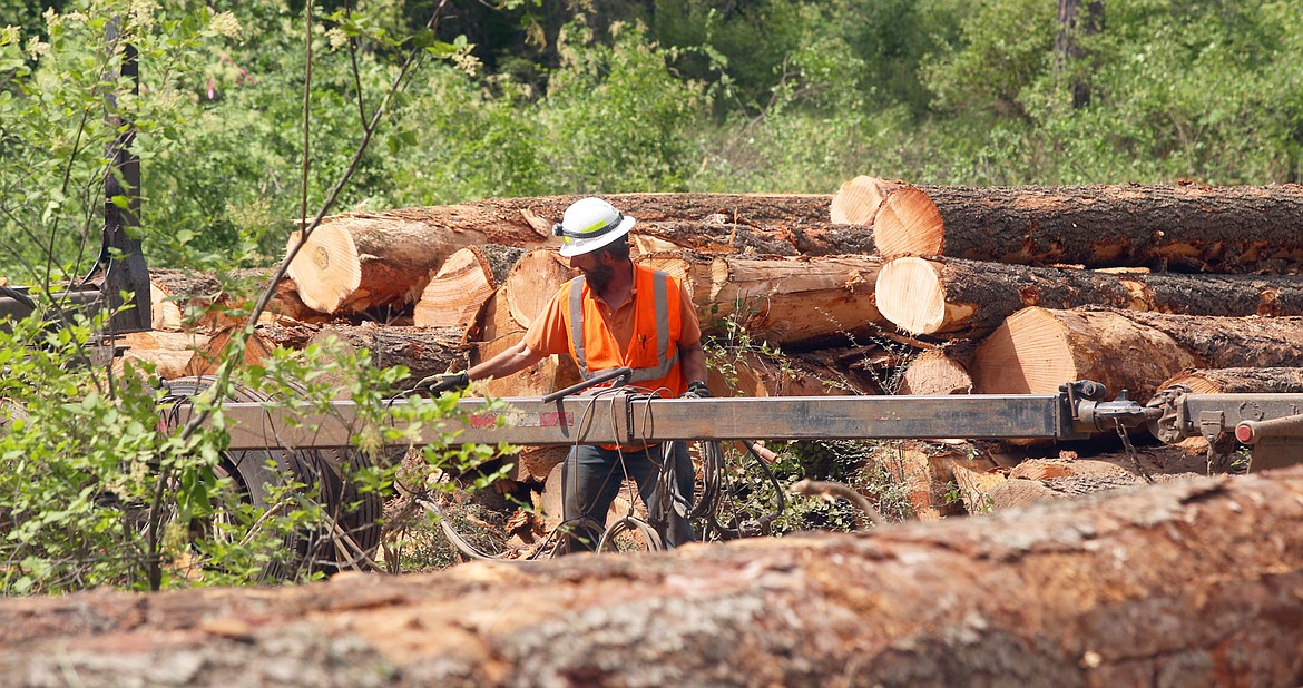 A logger prepares equipment to haul away trees at English Point on Wednesday.