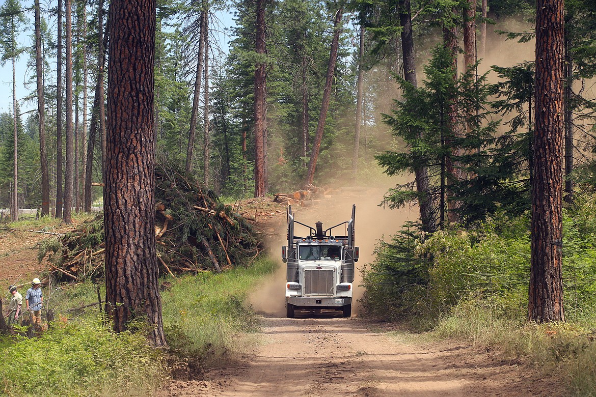 A logging truck rumbles down the road toward the logging operation at English Point on Wednesday.