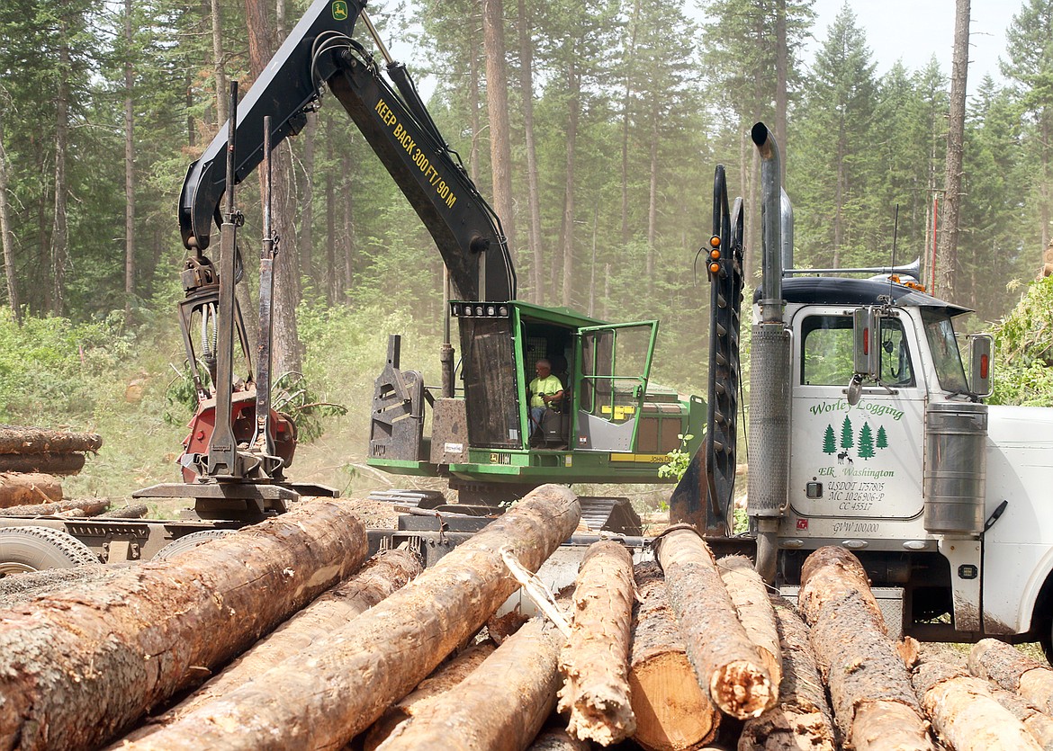 The English Point Forest Health Protection project is underway.